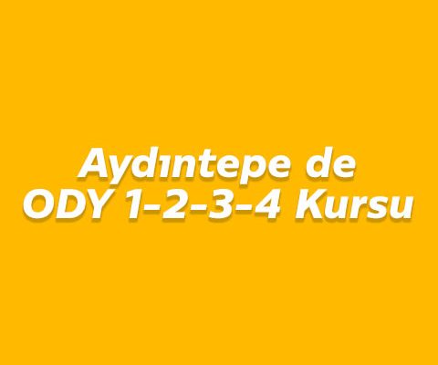 Aydıntepe ODY Belgesi